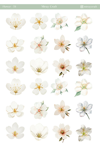 MirayDesign 1 Φύλλο με θέμα λουλούδια – Αυτοκόλλητα για ημερολόγιο & λεύκωμα ...