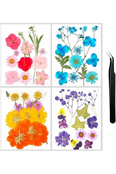 Arabest 48Pcs Pressed Flower Kit for Resin Crafts, Real Dried Daisy & Leaves ...