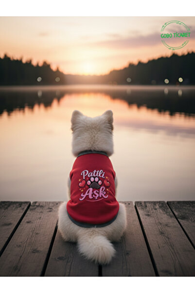 Gobo Paw Love Patterned Cat and Dog Outfit – Adorable Pet T-Shirt Dress, Diff...