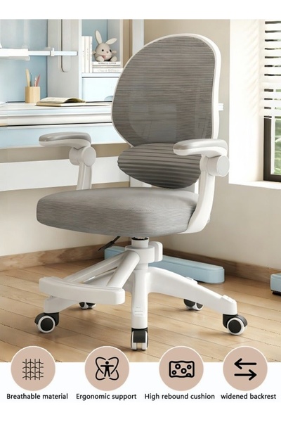 Generic Ergonomic Study Chair, Kids Desk Chair with Back Support and Footrest...