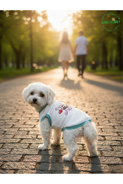 Gobo Patili Aşk Desenli Kedi ve Köpek Kıyafeti–Sevimli Evcil Hayvan Tişörtü Elbisesi , Farklı Renk