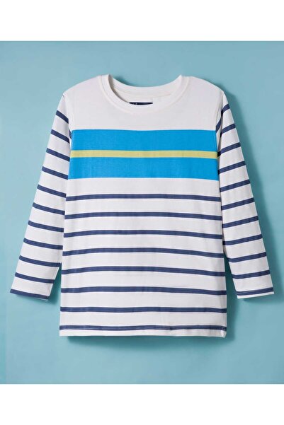 Pine kids Cotton Knit Full Sleeves T-Shirt With Stripes - White & Blue