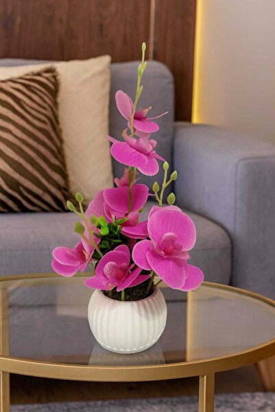 SAKLI ATÖLYEM Dekoratif Pembe Orkide Çiçeği – Mermertozu Yuvarlak Saksıda Şık...