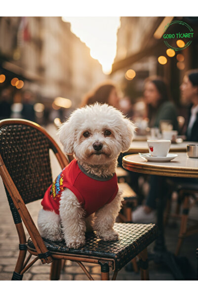 Gobo Walking Charisma Patterned Cat and Dog Outfit–Cute Pet T-Shirt Dress, Di...