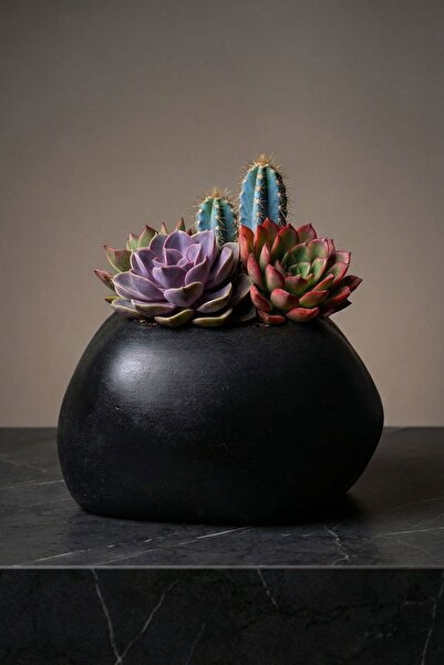 Evene Saksı Büyük Saksı Çiçek Saksısı Büyük Boy Saksı Salon Saksısı Model 14 ...