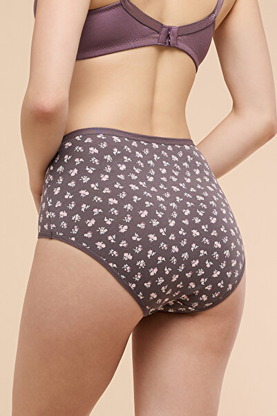 R&B Women's Gray 3 Pack Printed Full Briefs