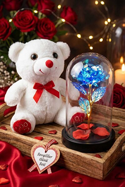 Fidan oyuncak Romantic Valentine's Day Gift Set 25 cm Plush Bear, Lighted Ros...