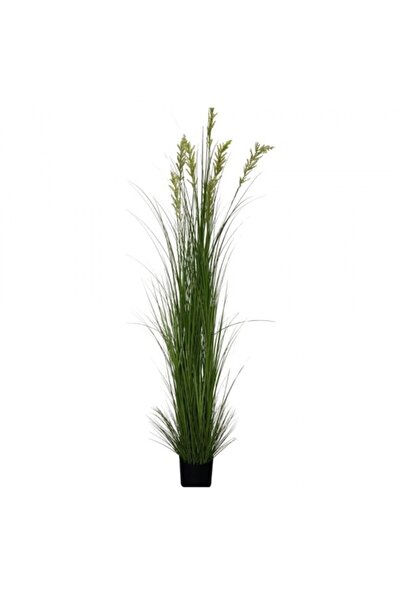 Noname Artificial grass plant in pot 180 cm