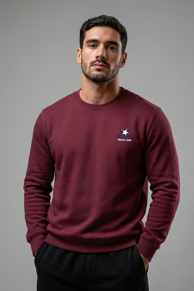 COMBİNE MİCHAİL Ανδρικό φούτερ με στάμπα στο στήθος σε μπορντό χρώμα