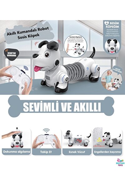 Brother Toys Uzaktan Kumandalı Akıllı Interaktif Öğretici Robot Oyuncak Sosis...