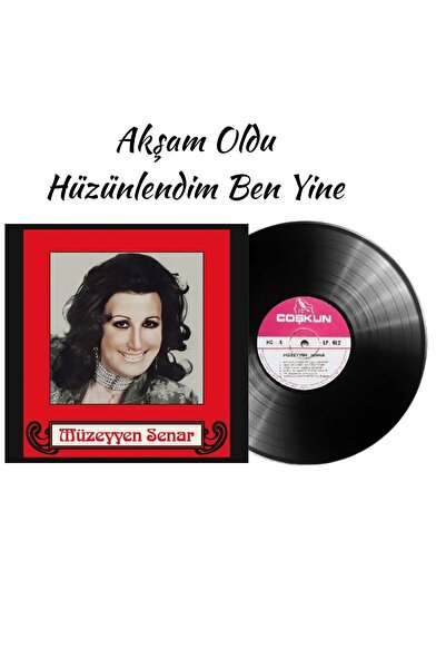 HEY PLAK BOLU MÜZEYYEN SENAR AKŞAM OLDU HÜZÜNLENDİM BEN YİNE 33 LÜK PLAK YENİ...