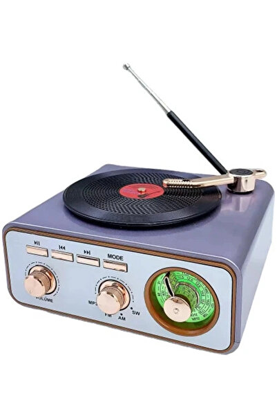 Vothoon Metalik Nostaljik Tasarım Plak Çalar Görünümlü Radyolu Bluetooth Hopa...