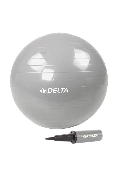 Delta 65 cm Silver Color Pilates Ball + Pump Jrs660