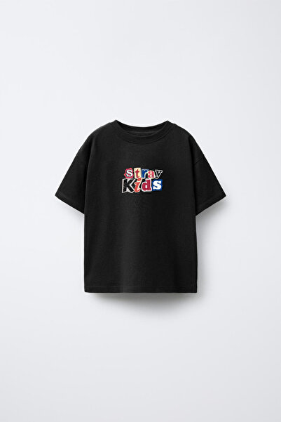 AYDESİGN Tricou negru pentru copii și adulți, cu imprimeu Stray Kids The Domi...