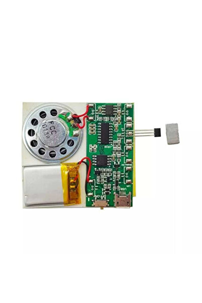 Genel Markalar Hall Effect Sensör Kontrollü Ses Kayıt ve Çalma Modülü