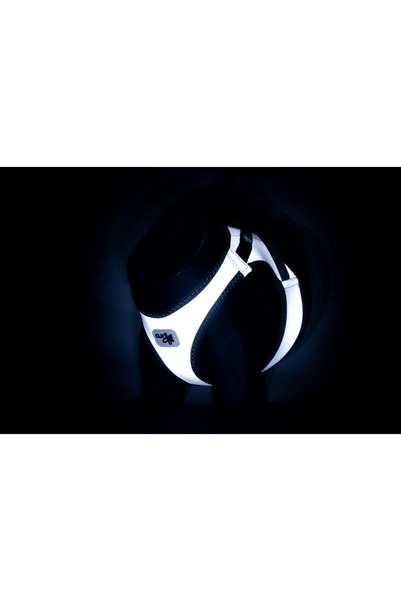 Curli Glow Vest Reflective Night Glowing Safe Dog Chest Harness