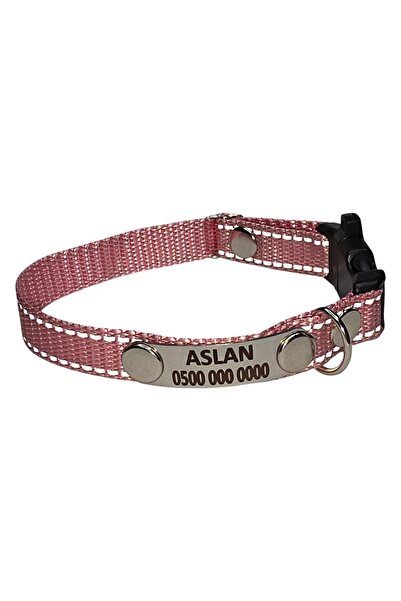 Ayz Markalama Sabit künyeli isimli köpek tasması, küçük ırk köpekler için ism...