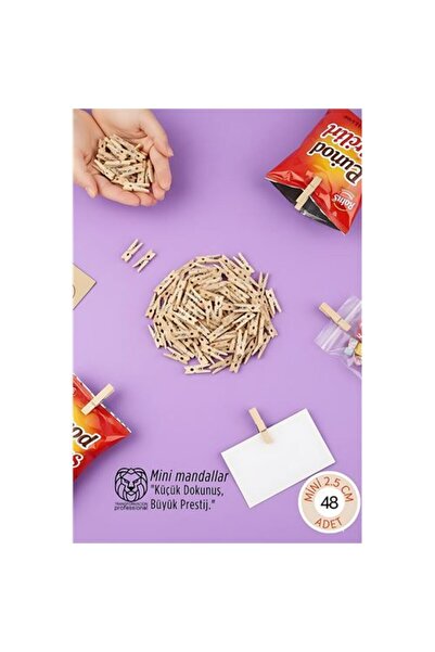 Marsilyan 48 Τεμάχια Μίνι Ξύλινα Μανταλάκια 2,5 εκ. - Σετ για Παρουσίαση Φωτο...