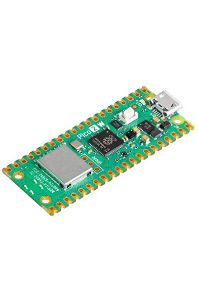 Raspberry Pi Pico 2 W