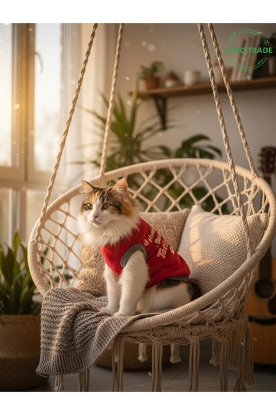 Gobo تي شيرت مطبوع عليه عبارة Red Hanimish My Sweetheart للقطط والكلاب مقاس ك...