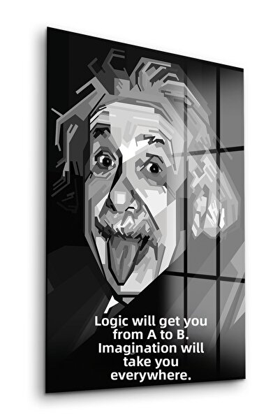 Decovetro Tablou din sticlă Albert Einstein Funny