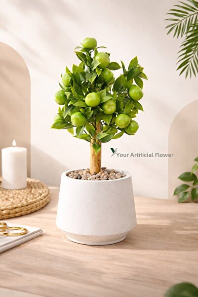 YAPAY ÇİÇEKÇİNİZ Artificial Green Apple Tree in a White Pot with Stone and Ba...