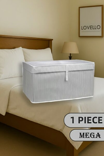 LOVELLO 1 صندوق بغطاء مقاس 60x40x30 حجم كبير