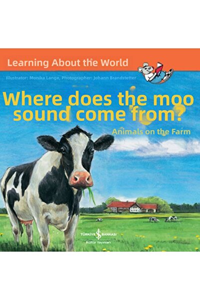 TREND Where Does the Mo Sound Come From?