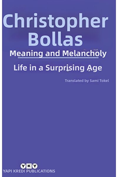 Marvel Meaning and Melancholy