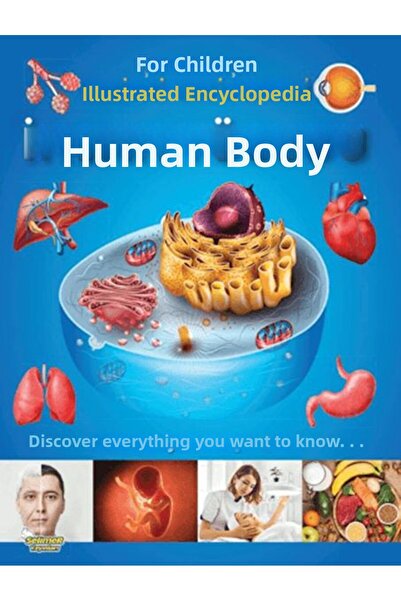 TREND The Human Body - an Illustrated Encyclopedia for Children