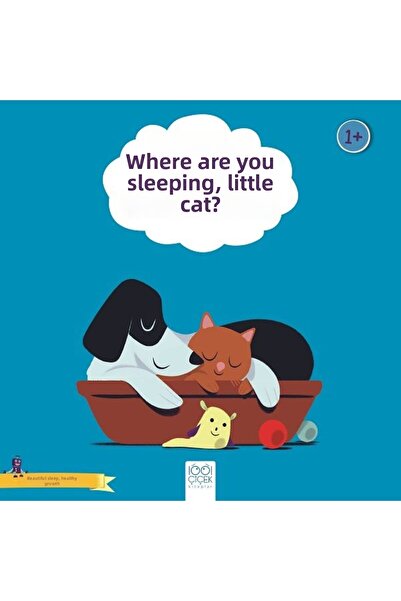 Marvel أين تنام القطط الصغيرة؟