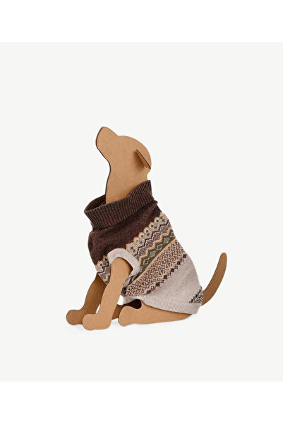 Yargıcı Köpek Kazağı