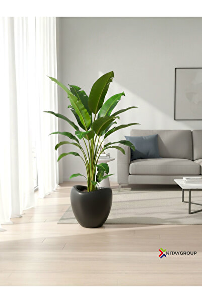 KıtayGroup Lale Saksı Dinazor Yumurtası Dekoratif Büyük boy Modern Salon ve B...