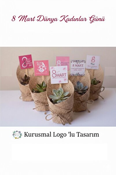 SUKULENTİSTANBUL 8 Mart Özel Hediyelik Sukulent -( 25'li Set) Kurumsal Dünya ...