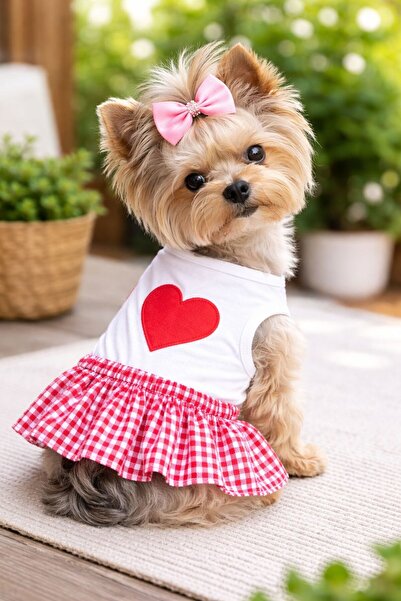 DOGİ&DOG Küçük Irk Kırmızı Pitikare Köpek Elbisesi Köpek Kıyafeti (1-10KG)