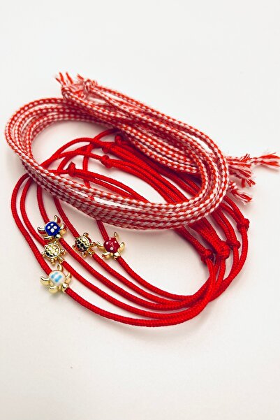 Concept HuBuTU Gift Set: 5 Gift Cards, Gelatin Lucky Turtle Figure, Luxury Ma...