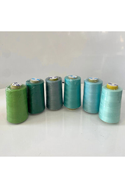 TDM 120 de modele de ață de cusut - set de 6