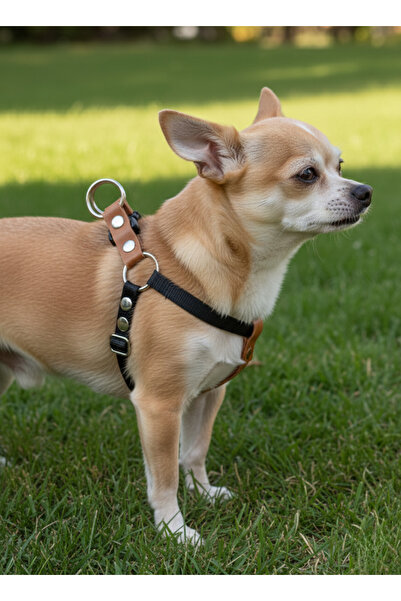 balkonda Dog Collar Small, Medium and Large Breeds Adjustable 1cm Width Colum...