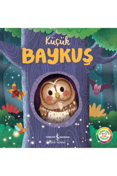 TÜRKİYE İŞ BANKASI KÜLTÜR YAYINLARI Küçük Baykuş