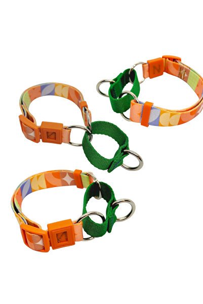 VSLT HANDMADE مصنوع يدويًا - عرض 2 سم. طوق تدريب مارتنجال. مناسب للكلاب حتى و...