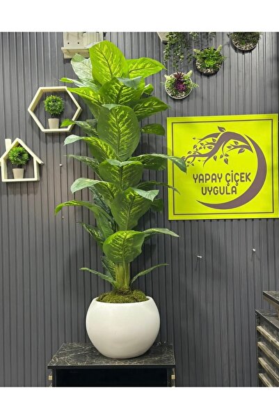 İremÇiçekçilik Yapay Ağaç Difenbahya 160 Cm