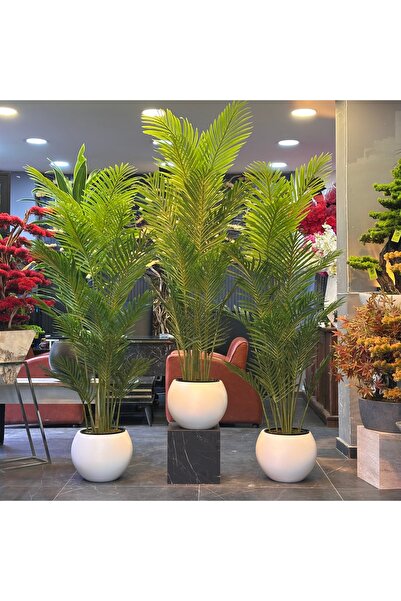 İremÇiçekçilik Beyaz Gold Metal Saksıda Areka Yapay Ağaç 180 Cm