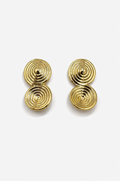 Richard Jewell 6-Piece Steel Colored Women's Earrings Model