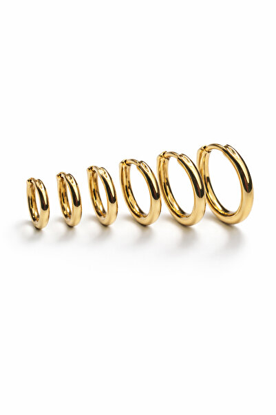 Women's Steel Color Resistant Guaranteed Invoiced Earrings JFRCH2054