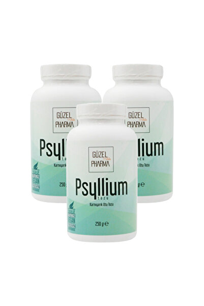 Güzel Ada Gıda Psyllium Karnıyarık Otu Tozu 3x250 gr