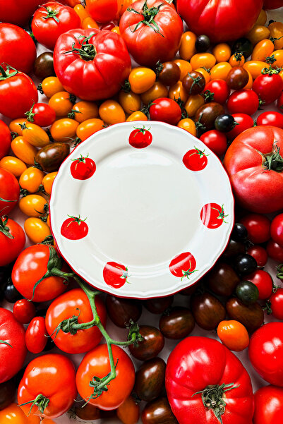 Rakle Pomodoro Stoneware 4'lü Pasta Tabağı Seti 21 cm