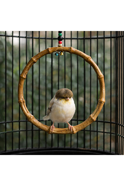 Majoris Bambu Lüks Kuş Salıncağı