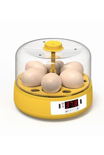 Hype Store Mini Otomatik Ev Tipi Kuluçka: Elektrikli Tavuk ve Kuş Kuluçka Mak...