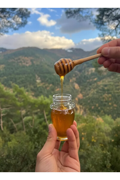 Balkovan Hakiki Deli Bal 350 gr - Doğal Saf Orman Gülü Balı