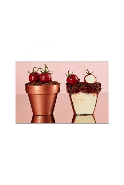 Greyas Polikarbon Special Saksı Çikolata Kalıbı 180 gr | Cm-3561